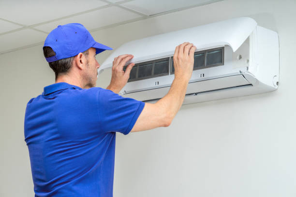 Best Air Duct Mold Removal  in Overland, MO